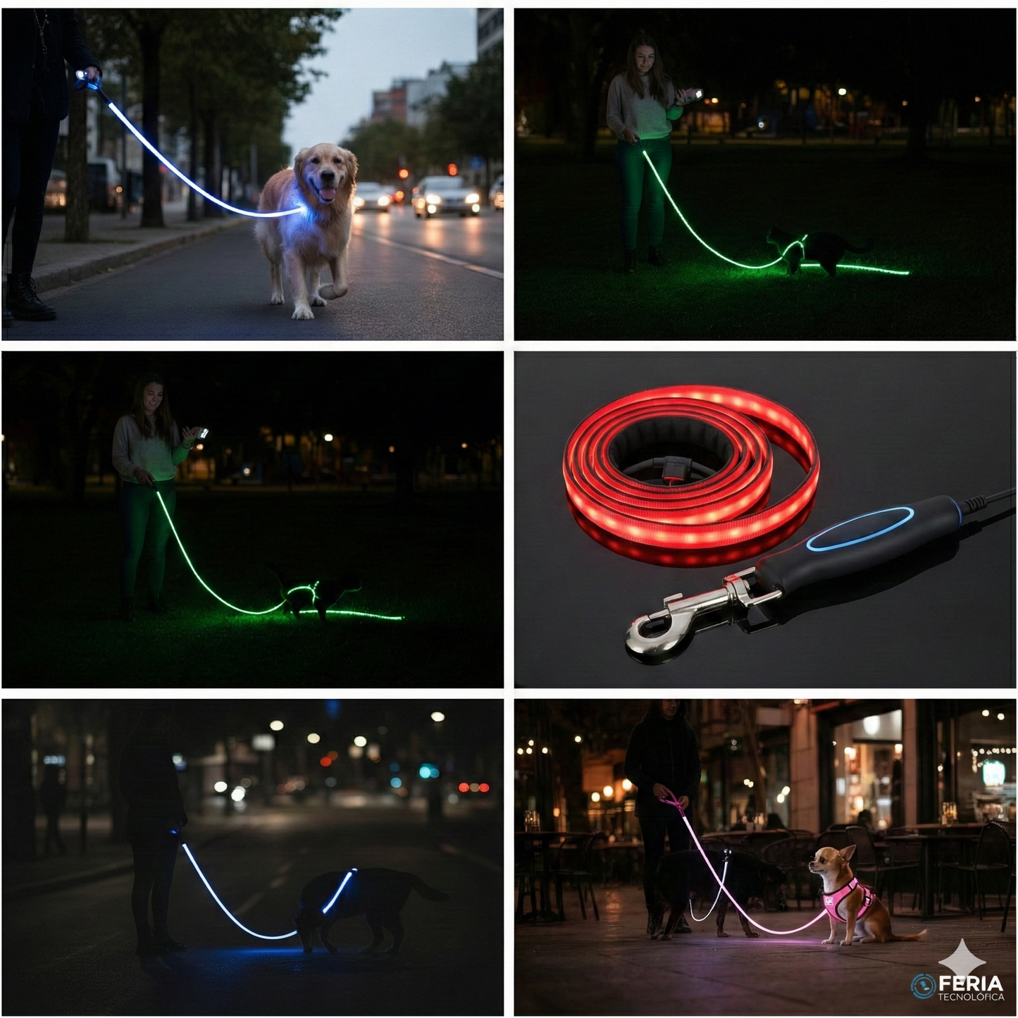 Paseos con estilo: Diseño exclusivo para perros únicos