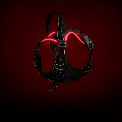 Arnés LED Ergonómico