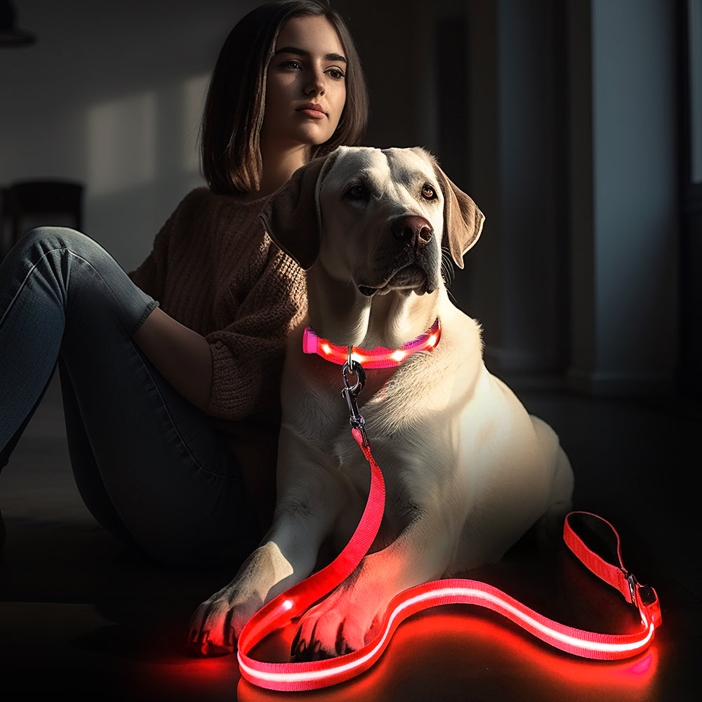 Paseos con estilo: Diseño exclusivo para perros únicos