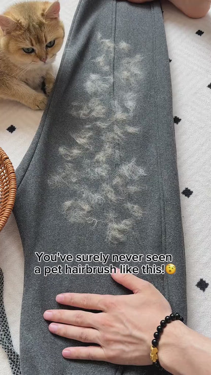 Cansado de que tu ropa parezca una alfombra de pelos? 🐾