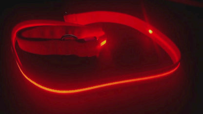 Paseos con estilo: Diseño exclusivo para perros únicos