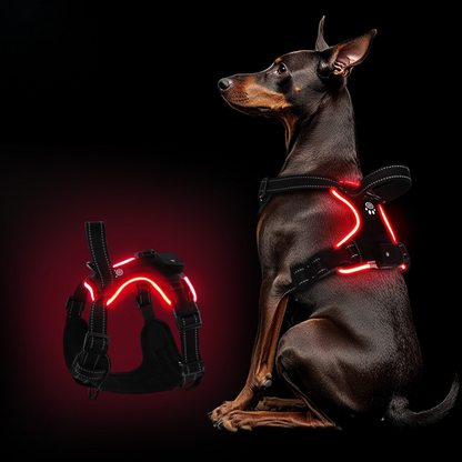 Arnés LED Ergonómico